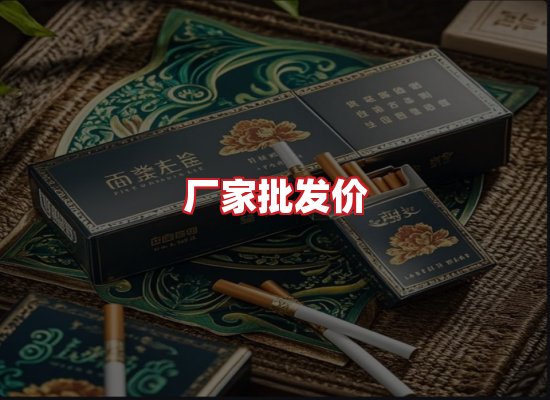 专业团队